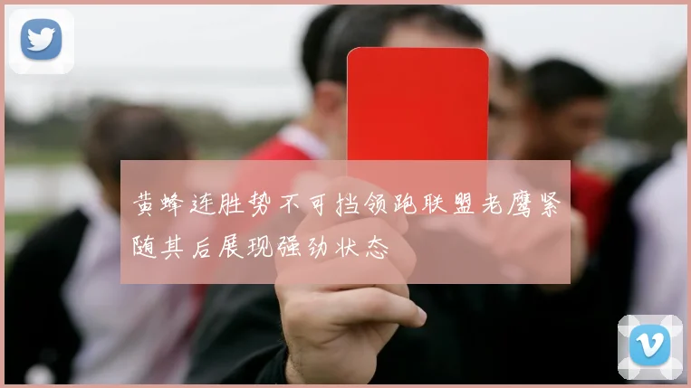 黄蜂连胜势不可挡领跑联盟老鹰紧随其后展现强劲状态