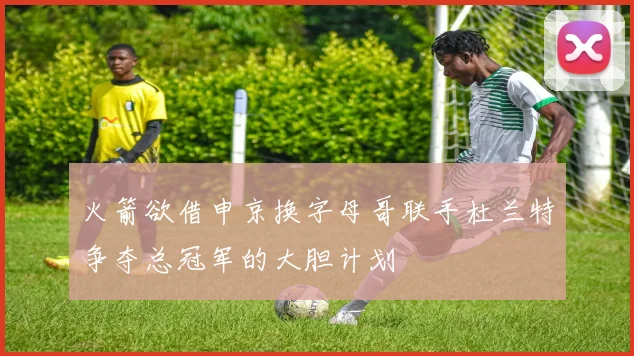 火箭欲借申京换字母哥联手杜兰特争夺总冠军的大胆计划