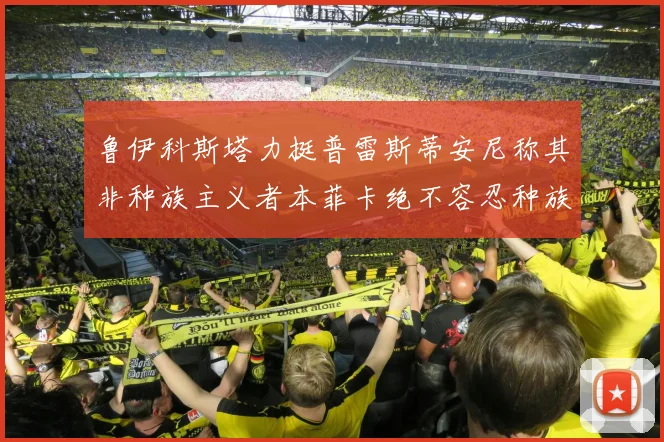 鲁伊科斯塔力挺普雷斯蒂安尼称其非种族主义者本菲卡绝不容忍种族歧视