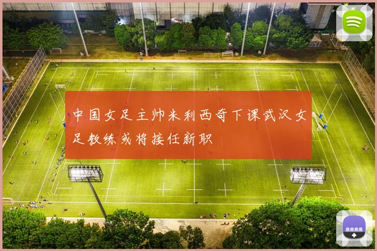 中国女足主帅米利西奇下课武汉女足教练或将接任新职