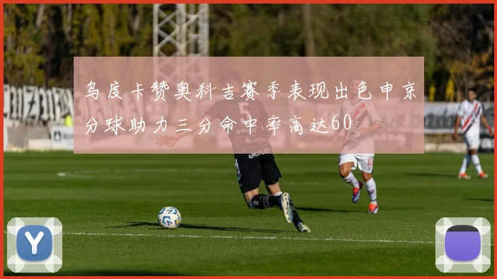 乌度卡赞奥科吉赛季表现出色申京分球助力三分命中率高达60