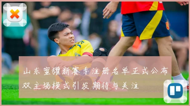 山东蜜獾新赛季注册名单正式公布双主场模式引发期待与关注