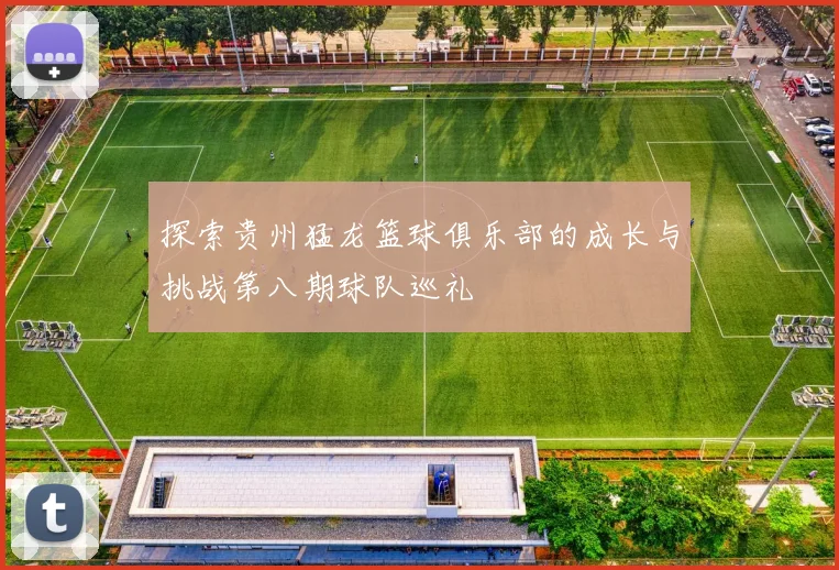 探索贵州猛龙篮球俱乐部的成长与挑战第八期球队巡礼