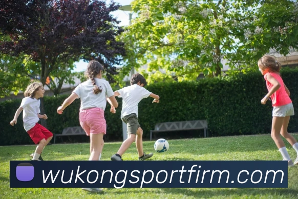 悟空体育发展历程